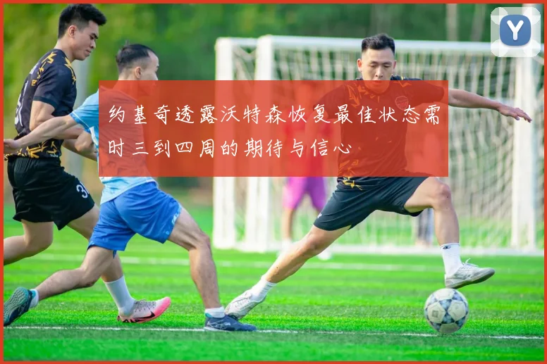 约基奇透露沃特森恢复最佳状态需时三到四周的期待与信心